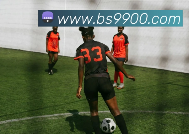 多媒体互动体验